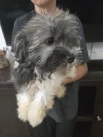 processed/0d69f46e-223c-441b-9748-1507550312ac/listing/31fe01fc-9400-4b32-9d17-9ddb35a0098a/cad430f4-68f1-43ff-8868-09593aafaea0