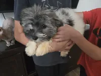 processed/0d69f46e-223c-441b-9748-1507550312ac/listing/31fe01fc-9400-4b32-9d17-9ddb35a0098a/dc9737a7-ecea-4aac-aebd-f9d46aa94d21