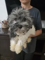 processed/0d69f46e-223c-441b-9748-1507550312ac/listing/31fe01fc-9400-4b32-9d17-9ddb35a0098a/f2063f92-9dbc-4c68-bcac-c3ec3eaea0b1