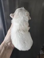 processed/0d69f46e-223c-441b-9748-1507550312ac/listing/3312326a-1ddd-42c4-a874-214660f21199/15fb2f9f-af0e-48bf-898a-d05d966eef14