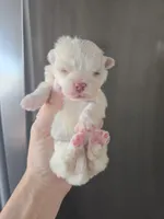 processed/0d69f46e-223c-441b-9748-1507550312ac/listing/3312326a-1ddd-42c4-a874-214660f21199/6f643e00-8d0e-4679-83e5-fbcdc1b50ba7