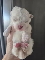 processed/0d69f46e-223c-441b-9748-1507550312ac/listing/3312326a-1ddd-42c4-a874-214660f21199/fcbecb96-8fb6-4c11-a19b-ede71f4c9b7d