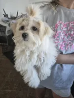 processed/0d69f46e-223c-441b-9748-1507550312ac/listing/397d78cf-a765-4286-bb76-285b81ae84aa/0bf601b2-02c1-4993-bfc9-82e5c0161121