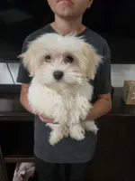 processed/0d69f46e-223c-441b-9748-1507550312ac/listing/397d78cf-a765-4286-bb76-285b81ae84aa/177c7000-6f01-459e-bbd4-3d8fc474f311