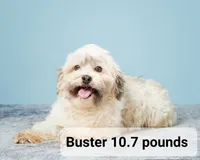 processed/0d69f46e-223c-441b-9748-1507550312ac/listing/397d78cf-a765-4286-bb76-285b81ae84aa/4e1b7ec5-4e3f-4f4a-9fd8-588d004845a1