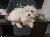 processed/0d69f46e-223c-441b-9748-1507550312ac/listing/397d78cf-a765-4286-bb76-285b81ae84aa/5eb4cdc2-673f-466f-aecb-604a25db9941