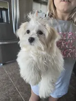 processed/0d69f46e-223c-441b-9748-1507550312ac/listing/397d78cf-a765-4286-bb76-285b81ae84aa/81cda1f8-85ac-47d7-b210-4a1d5ac0a965