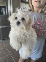 processed/0d69f46e-223c-441b-9748-1507550312ac/listing/397d78cf-a765-4286-bb76-285b81ae84aa/ad442479-7ee9-40ce-8445-42fd1e96339b