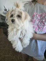 processed/0d69f46e-223c-441b-9748-1507550312ac/listing/397d78cf-a765-4286-bb76-285b81ae84aa/c8ce5c21-89bc-49be-a093-2f0d08870969