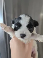 processed/0d69f46e-223c-441b-9748-1507550312ac/listing/5e18cddf-3bbf-42ac-bbdf-7123b69f1a09/298f94f0-d72f-4934-b068-1fd05b95b89e