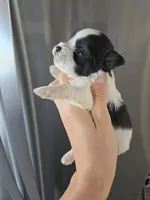 processed/0d69f46e-223c-441b-9748-1507550312ac/listing/5e18cddf-3bbf-42ac-bbdf-7123b69f1a09/4c1594fd-8804-4bdb-b323-8a64b843fa5b