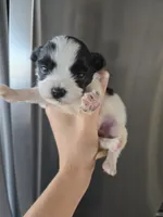 processed/0d69f46e-223c-441b-9748-1507550312ac/listing/5e18cddf-3bbf-42ac-bbdf-7123b69f1a09/6ca128ff-4f45-4629-9150-8f2c3911e474