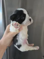 processed/0d69f46e-223c-441b-9748-1507550312ac/listing/5e18cddf-3bbf-42ac-bbdf-7123b69f1a09/bf2cb780-3ecf-45df-9102-9fe5fef54b43