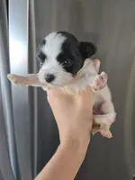 processed/0d69f46e-223c-441b-9748-1507550312ac/listing/5e18cddf-3bbf-42ac-bbdf-7123b69f1a09/cd94b628-b9e4-4616-a8a6-4508c683337b