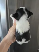 processed/0d69f46e-223c-441b-9748-1507550312ac/listing/5e18cddf-3bbf-42ac-bbdf-7123b69f1a09/f1e323fa-d63f-4a74-9bc9-71f67874c332