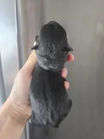 processed/0d69f46e-223c-441b-9748-1507550312ac/listing/5fd7c7a2-629a-4c95-82c7-dcd92dea32d9/17eea565-3a64-4bcc-9a55-cc7b89dcdc37