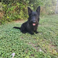 processed/0d69f46e-223c-441b-9748-1507550312ac/listing/5fd7c7a2-629a-4c95-82c7-dcd92dea32d9/5394e149-e1bd-45b0-b3df-c9686ba62577