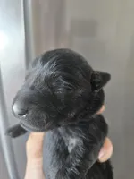 processed/0d69f46e-223c-441b-9748-1507550312ac/listing/5fd7c7a2-629a-4c95-82c7-dcd92dea32d9/cda9d6fb-293c-4542-b8bb-1e20d9cc155d