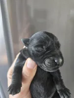 processed/0d69f46e-223c-441b-9748-1507550312ac/listing/5fd7c7a2-629a-4c95-82c7-dcd92dea32d9/d39b1b19-3428-4685-a0b4-66d30eb68b49