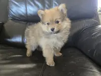 processed/0d69f46e-223c-441b-9748-1507550312ac/listing/623789f0-e064-41ce-b1e6-ec1d5ad111c7/3a2424b9-dfaa-404c-820f-e11ad373455d