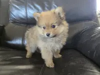 processed/0d69f46e-223c-441b-9748-1507550312ac/listing/623789f0-e064-41ce-b1e6-ec1d5ad111c7/3e633311-e6fb-4668-b348-f4387c113680