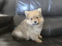 processed/0d69f46e-223c-441b-9748-1507550312ac/listing/623789f0-e064-41ce-b1e6-ec1d5ad111c7/54c37fe3-7a9e-44fa-8ac7-298ad9669e8d