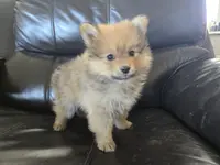 processed/0d69f46e-223c-441b-9748-1507550312ac/listing/623789f0-e064-41ce-b1e6-ec1d5ad111c7/7422898b-d464-4a30-9f46-7f62fe00d733