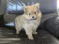 processed/0d69f46e-223c-441b-9748-1507550312ac/listing/623789f0-e064-41ce-b1e6-ec1d5ad111c7/7bbb29a8-9c32-4e25-a825-f5a36bd4ab1c