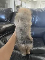 processed/0d69f46e-223c-441b-9748-1507550312ac/listing/623789f0-e064-41ce-b1e6-ec1d5ad111c7/7be11829-a254-4e2d-aff2-c031f6f0aeac