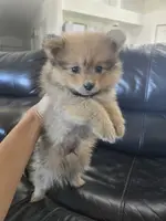 processed/0d69f46e-223c-441b-9748-1507550312ac/listing/623789f0-e064-41ce-b1e6-ec1d5ad111c7/c0c1a991-6128-4510-8106-ac8ee85eef7d