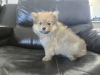 processed/0d69f46e-223c-441b-9748-1507550312ac/listing/623789f0-e064-41ce-b1e6-ec1d5ad111c7/c1ae41da-6e5c-4488-ad6e-8111727ea288