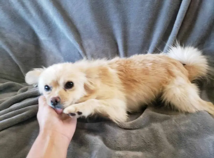 processed/0d69f46e-223c-441b-9748-1507550312ac/listing/623789f0-e064-41ce-b1e6-ec1d5ad111c7/d6a6fef4-77c1-4e43-9348-37dcb193c8b9