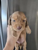 processed/0d69f46e-223c-441b-9748-1507550312ac/listing/8056365b-ddf9-4c7d-aac9-58210409af87/0347680b-3f37-4cfc-8270-e544fd0e6038