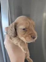 processed/0d69f46e-223c-441b-9748-1507550312ac/listing/8056365b-ddf9-4c7d-aac9-58210409af87/68ad40ae-8cd9-4c8b-b97f-4e9d5edb3dec