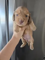 processed/0d69f46e-223c-441b-9748-1507550312ac/listing/8056365b-ddf9-4c7d-aac9-58210409af87/9277615f-85e7-4844-9f1d-9be178933be0