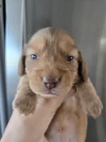 processed/0d69f46e-223c-441b-9748-1507550312ac/listing/8056365b-ddf9-4c7d-aac9-58210409af87/a0e3aa8e-9825-4263-8cc4-c525e68b5cd4