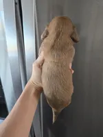 processed/0d69f46e-223c-441b-9748-1507550312ac/listing/8056365b-ddf9-4c7d-aac9-58210409af87/cd9d3d22-cfaa-4281-8cae-d96f57ee8341