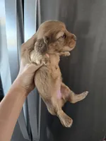 processed/0d69f46e-223c-441b-9748-1507550312ac/listing/8056365b-ddf9-4c7d-aac9-58210409af87/e5899853-a24a-4fc0-9b3f-454f838a4d1a