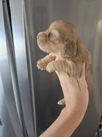 processed/0d69f46e-223c-441b-9748-1507550312ac/listing/8056365b-ddf9-4c7d-aac9-58210409af87/eb6a87b3-00f6-49ff-aa59-d0b738ec35c9