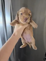 processed/0d69f46e-223c-441b-9748-1507550312ac/listing/8056365b-ddf9-4c7d-aac9-58210409af87/f8720212-975d-45f9-9504-a92a25516039