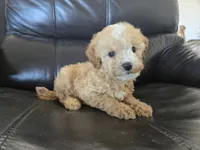 processed/0d69f46e-223c-441b-9748-1507550312ac/listing/88a720f0-133f-4683-a004-3ec574a1c664/0f191003-7721-4eb3-bb79-f07ebd002706