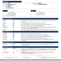 AKC Suki's Female Ready Now!, a female Poodle - Miniature  for sale in Casa Grande, AZ – Photo 10 of 10