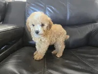 processed/0d69f46e-223c-441b-9748-1507550312ac/listing/88a720f0-133f-4683-a004-3ec574a1c664/4290922b-2909-40e7-ac64-bf9cc97f370b