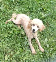 processed/0d69f46e-223c-441b-9748-1507550312ac/listing/88a720f0-133f-4683-a004-3ec574a1c664/52ad9e33-f540-490c-be53-cd93d9c112f0