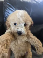 processed/0d69f46e-223c-441b-9748-1507550312ac/listing/88a720f0-133f-4683-a004-3ec574a1c664/6cd645c0-a2fe-4c8b-b30f-22097349ae9e