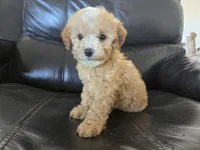 processed/0d69f46e-223c-441b-9748-1507550312ac/listing/88a720f0-133f-4683-a004-3ec574a1c664/b8d25d47-501a-4670-ae17-d66b5c923e0a