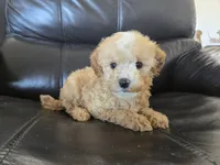 processed/0d69f46e-223c-441b-9748-1507550312ac/listing/88a720f0-133f-4683-a004-3ec574a1c664/fc588b55-1f5f-49bc-8415-5000a2d9c1c4