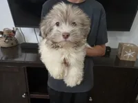 processed/0d69f46e-223c-441b-9748-1507550312ac/listing/a207b423-82ab-4273-8371-babda4d2fd39/13a11ef5-10c8-4227-a2d9-d0d3ac3d3bba