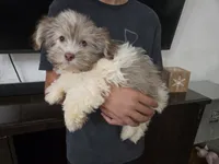 processed/0d69f46e-223c-441b-9748-1507550312ac/listing/a207b423-82ab-4273-8371-babda4d2fd39/2ff9658e-c6f7-450e-807d-4a8e371591f2