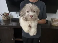 processed/0d69f46e-223c-441b-9748-1507550312ac/listing/a207b423-82ab-4273-8371-babda4d2fd39/6a2a9f22-059e-4427-a118-b970c97248a3